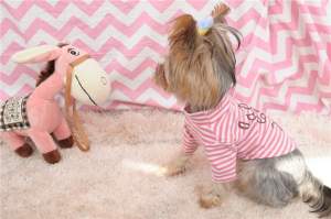 Водолазка Love you