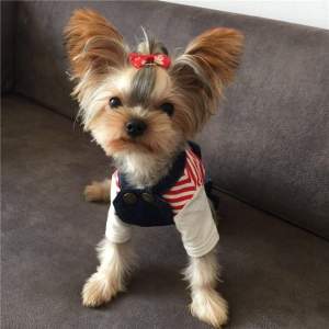 Джинсовый комбинезон