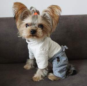 Модный костюм