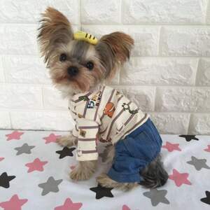 Костюм с динозаврами