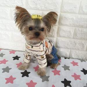 Костюм с динозаврами