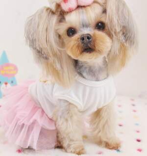 Платье Сердце