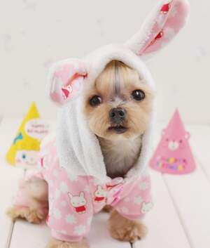 Комбинезон Зайка