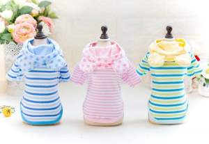 Толстовка Тедди