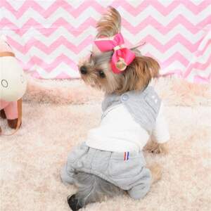 Костюм с жилеткой