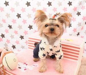 Костюм в полоску