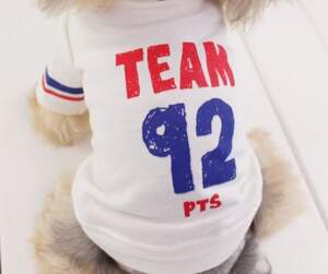 Спортивная толстовка