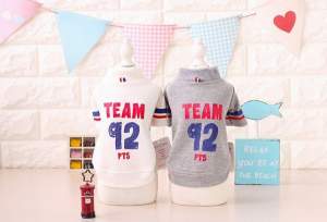 Спортивная толстовка