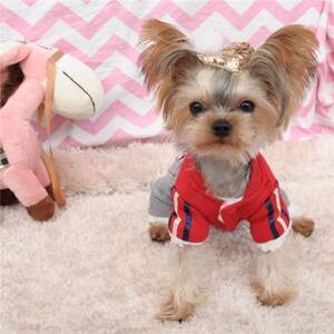 Костюм Звездный лорд