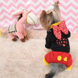 Костюмчик Микки