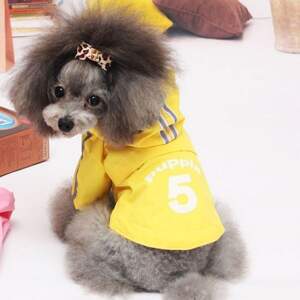 Стильный дождевик