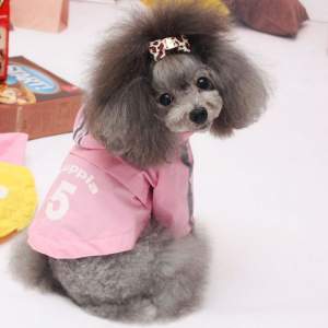 Стильный дождевик