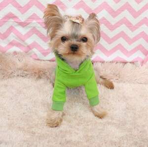 Толстовка с обезьянкой