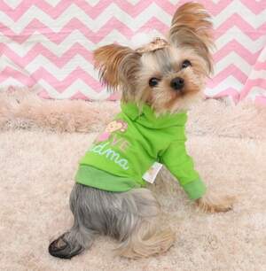 Толстовка с обезьянкой