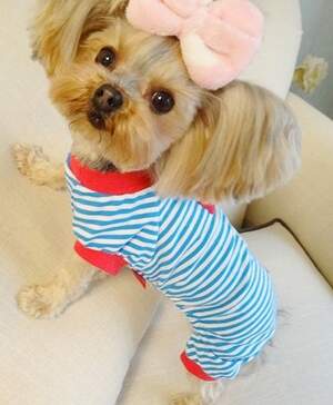 Комбинезон в полоску